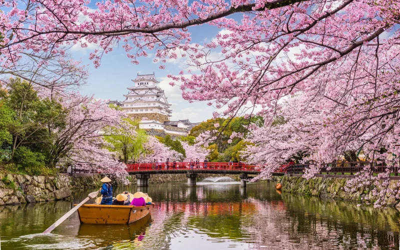 SSTK_ASIA_Japan_Himeji-Castle_776445706