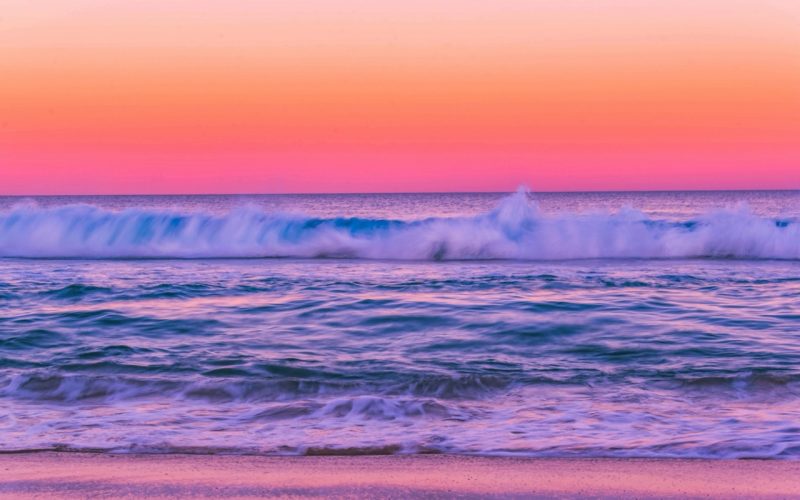 imgi_1151_pexels-photo-2236713 Large